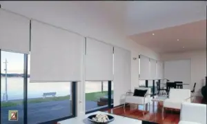 Cortinas de Rolo